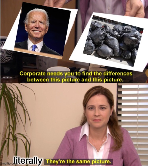 They're The Same Picture Meme | literally | image tagged in memes,they're the same picture | made w/ Imgflip meme maker