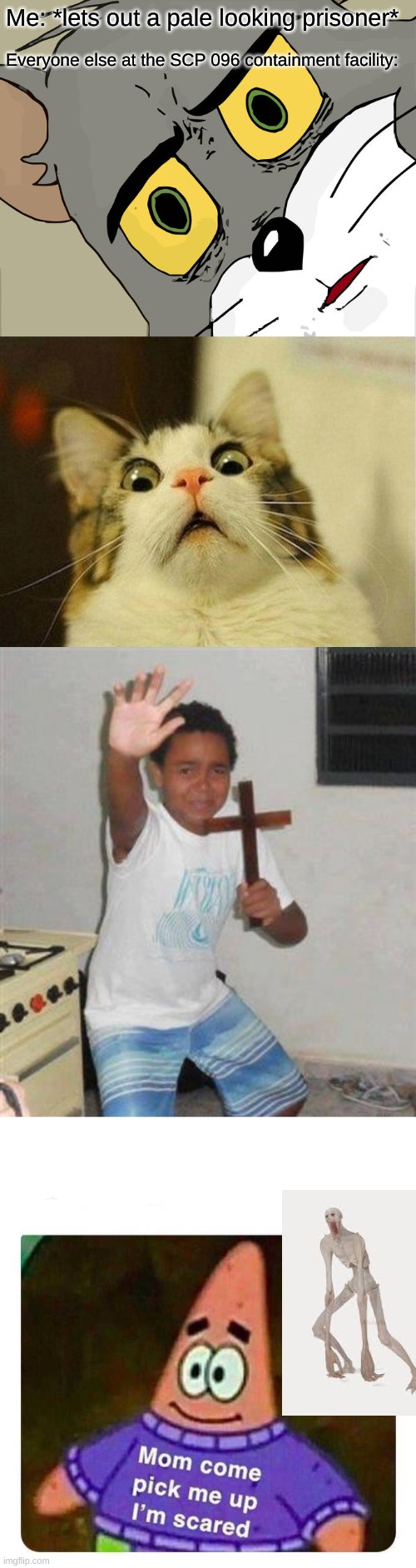 SCP 096 | Me: *lets out a pale looking prisoner*; Everyone else at the SCP 096 containment facility: | image tagged in memes,unsettled tom,scared cat,scared kid,patrick mom come pick me up i'm scared | made w/ Imgflip meme maker