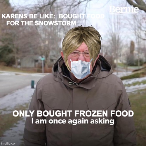 Bernie I Am Once Again Asking For Your Support Meme | KARENS BE LIKE:  BOUGHT FOOD FOR THE SNOWSTORM; ONLY BOUGHT FROZEN FOOD | image tagged in memes,bernie i am once again asking for your support | made w/ Imgflip meme maker