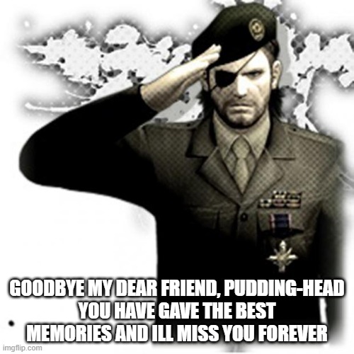 Solid Snake Salute | GOODBYE MY DEAR FRIEND, PUDDING-HEAD
YOU HAVE GAVE THE BEST MEMORIES AND ILL MISS YOU FOREVER | image tagged in solid snake salute | made w/ Imgflip meme maker