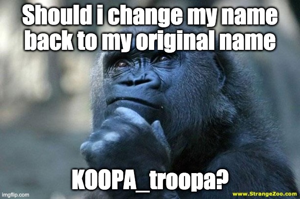 Honestly, please tell me | Should i change my name back to my original name; KOOPA_troopa? | image tagged in deep thoughts,jaythec,koopa_troopa,memes,username,imgflip | made w/ Imgflip meme maker