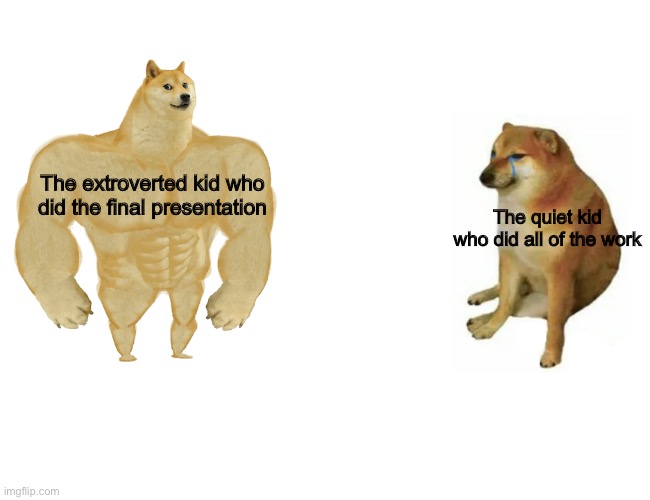Partner Presentations | The extroverted kid who did the final presentation; The quiet kid who did all of the work | image tagged in memes,buff doge vs cheems | made w/ Imgflip meme maker