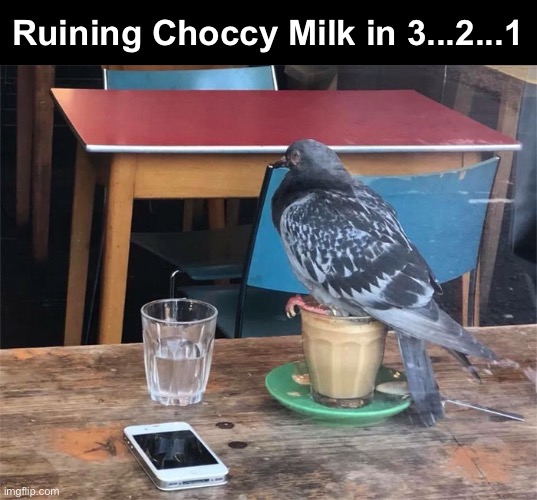 Gross! | Ruining Choccy Milk in 3...2...1 | image tagged in choccy milk | made w/ Imgflip meme maker