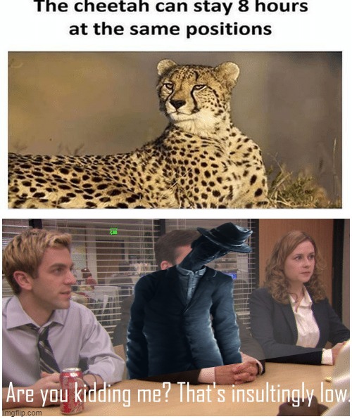 image tagged in still cheetah,are you kidding me that's insultingly low | made w/ Imgflip meme maker