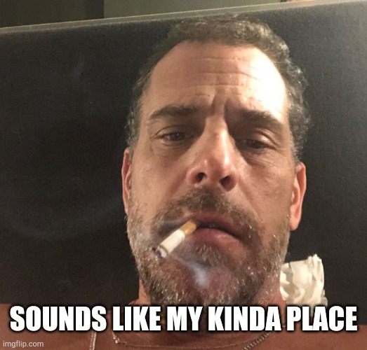 Hunter Biden | SOUNDS LIKE MY KINDA PLACE | image tagged in hunter biden | made w/ Imgflip meme maker