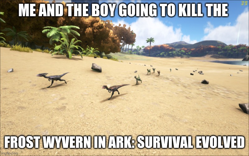 Ark survival evolved | ME AND THE BOY GOING TO KILL THE; FROST WYVERN IN ARK: SURVIVAL EVOLVED | image tagged in ark survival evolved | made w/ Imgflip meme maker