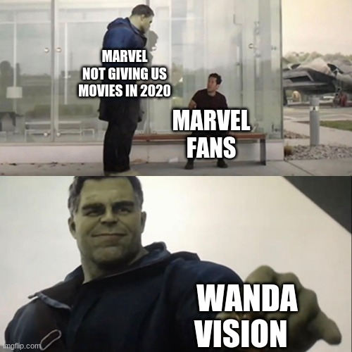 At least dc had a movie | MARVEL NOT GIVING US MOVIES IN 2020; MARVEL FANS; WANDA VISION | image tagged in hulk taco | made w/ Imgflip meme maker