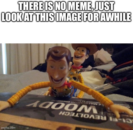 *grabs tissues* | THERE IS NO MEME, JUST LOOK AT THIS IMAGE FOR AWHILE | image tagged in woody,funny | made w/ Imgflip meme maker