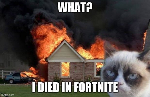 Burn Kitty Meme | WHAT? I DIED IN FORTNITE | image tagged in memes,burn kitty,grumpy cat | made w/ Imgflip meme maker