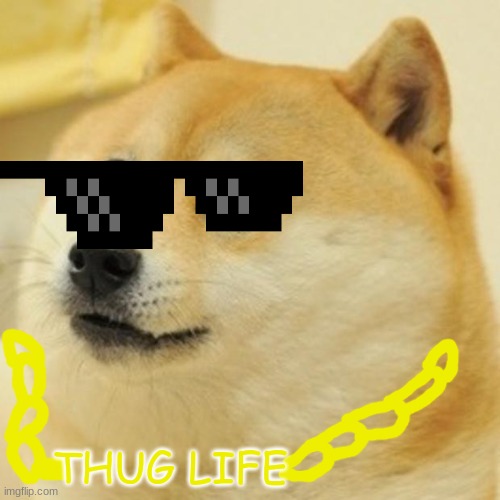 Dogethememedog *thug life* | THUG LIFE | image tagged in memes,doge | made w/ Imgflip meme maker