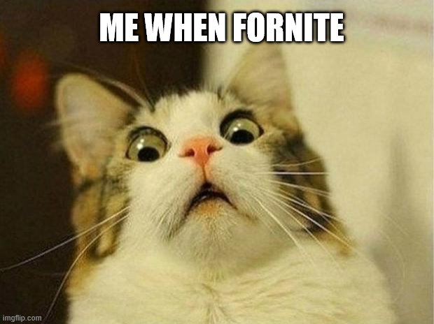 Scared Cat | ME WHEN FORNITE | image tagged in memes,scared cat | made w/ Imgflip meme maker