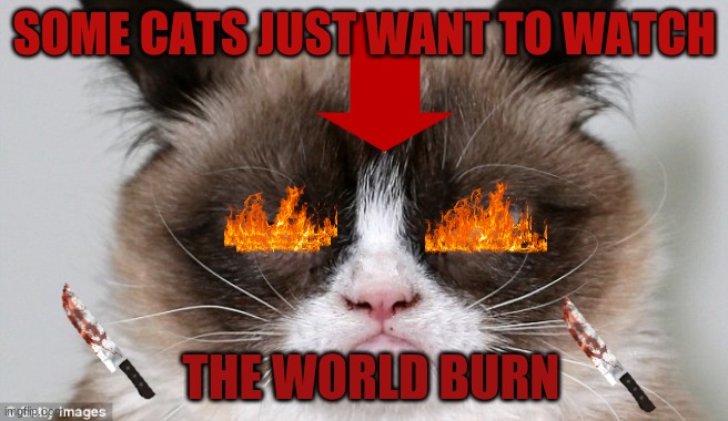 grumpycat | SOME CATS JUST WANT TO WATCH; THE WORLD BURN | image tagged in grumpycat | made w/ Imgflip meme maker