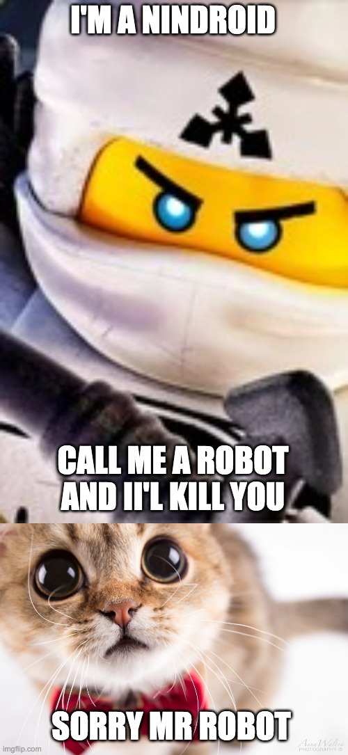 Zane will kill kitty "Mr. Robot" >:( | I'M A NINDROID; CALL ME A ROBOT AND II'L KILL YOU; SORRY MR ROBOT | image tagged in zane meme | made w/ Imgflip meme maker