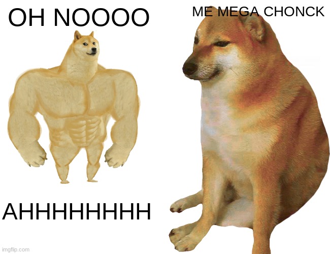 Please help me | OH NOOOO; ME MEGA CHONCK; AHHHHHHHH | image tagged in doggo | made w/ Imgflip meme maker