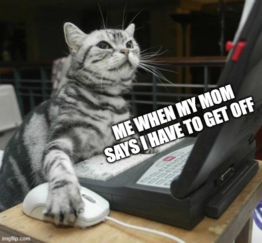 Coding Cat | ME WHEN MY MOM SAYS I HAVE TO GET OFF | image tagged in coding cat | made w/ Imgflip meme maker
