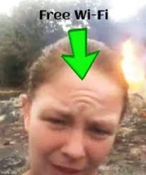 Free wifi | image tagged in wifi,forehead | made w/ Imgflip meme maker