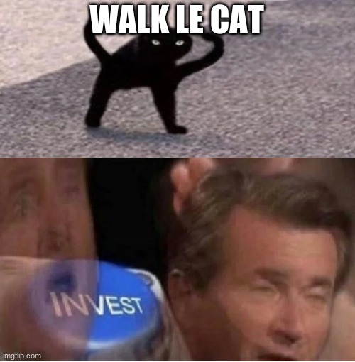WALK LE CAT | image tagged in invest | made w/ Imgflip meme maker