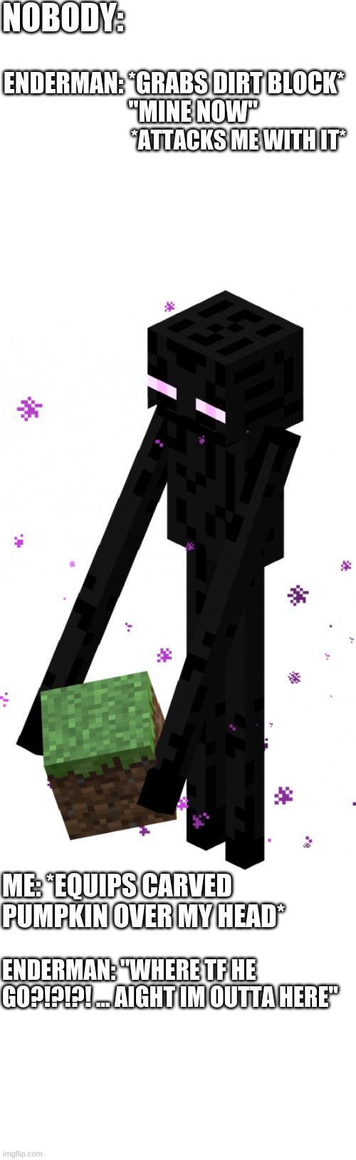 why it be like that idk | NOBODY:; ENDERMAN: *GRABS DIRT BLOCK*
        "MINE NOW"; *ATTACKS ME WITH IT*; ME: *EQUIPS CARVED PUMPKIN OVER MY HEAD*; ENDERMAN: "WHERE TF HE GO?!?!?! ... AIGHT IM OUTTA HERE" | image tagged in enderman with block | made w/ Imgflip meme maker
