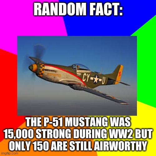 RANDOM FACT:; THE P-51 MUSTANG WAS 15,000 STRONG DURING WW2 BUT ONLY 150 ARE STILL AIRWORTHY | made w/ Imgflip meme maker