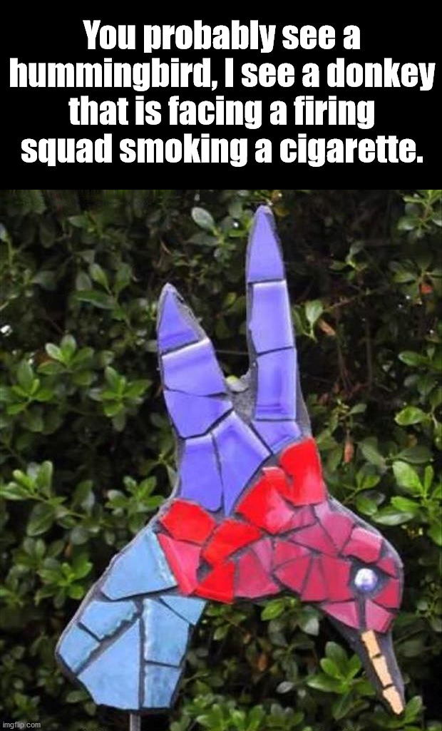 When you see things differently. | You probably see a hummingbird, I see a donkey that is facing a firing squad smoking a cigarette. | image tagged in totally looks like,bird,donkey | made w/ Imgflip meme maker
