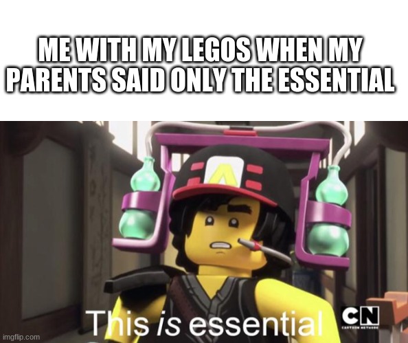 It is | ME WITH MY LEGOS WHEN MY PARENTS SAID ONLY THE ESSENTIAL | image tagged in blank white template,this is essential | made w/ Imgflip meme maker