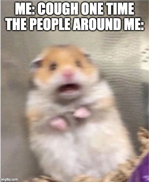 Scared Hamster | ME: COUGH ONE TIME
THE PEOPLE AROUND ME: | image tagged in scared hamster | made w/ Imgflip meme maker