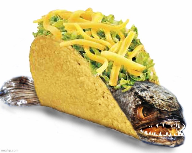 Fish Taco | image tagged in fish taco | made w/ Imgflip meme maker