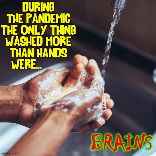 If U think "the science" says eating outside is unsafe UR Brainwashed. | DURING
THE PANDEMIC
THE ONLY THING
WASHED MORE
THAN HANDS
WERE... BRAINS | image tagged in vince vance,brains,washing hands,pandemic,brainwashing,memes | made w/ Imgflip meme maker