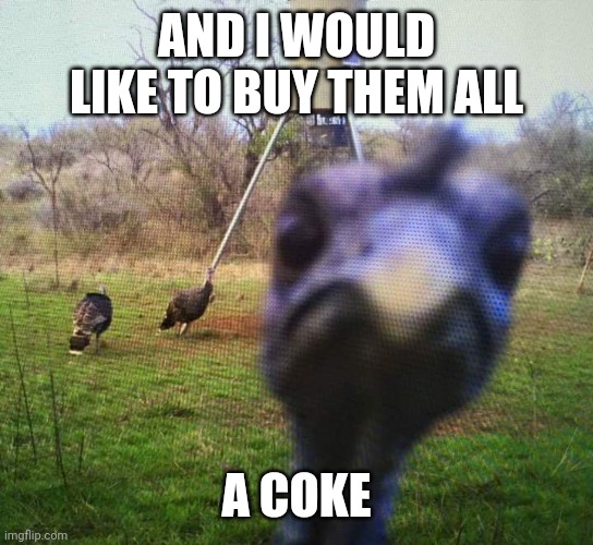 Jiveass Turkey | AND I WOULD LIKE TO BUY THEM ALL A COKE | image tagged in jiveass turkey | made w/ Imgflip meme maker