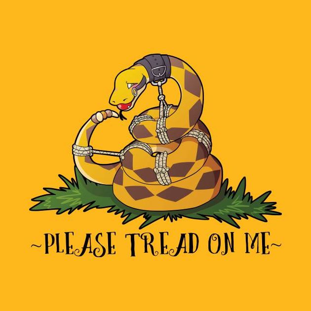 High Quality Gadsden flag please tread on me Blank Meme Template