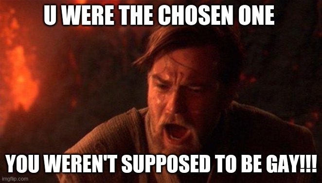 Nooooooo. | U WERE THE CHOSEN ONE; YOU WEREN'T SUPPOSED TO BE GAY!!! | image tagged in memes,you were the chosen one star wars,gay pride | made w/ Imgflip meme maker