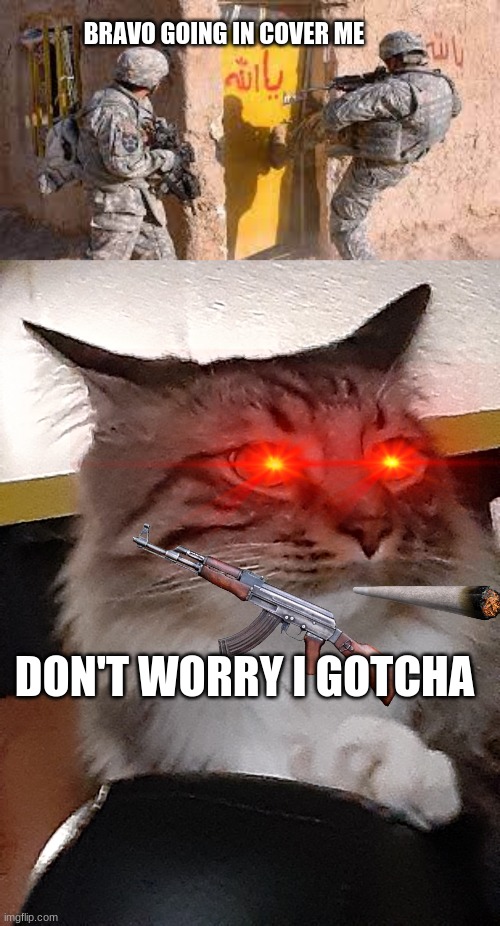 Army cat | BRAVO GOING IN COVER ME; DON'T WORRY I GOTCHA | image tagged in army kicking down door,the cat | made w/ Imgflip meme maker