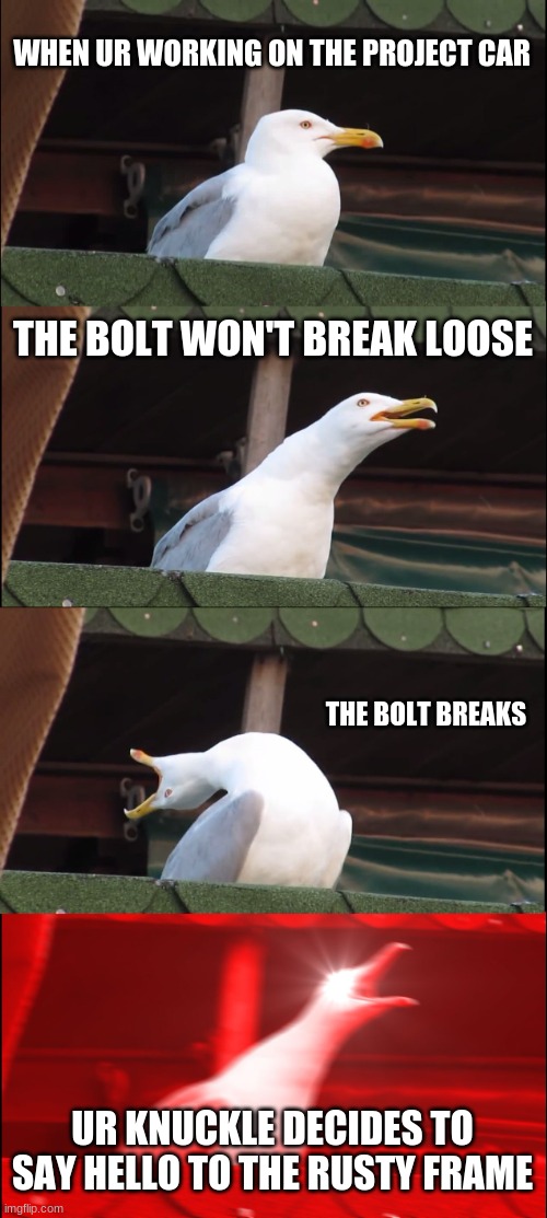 inhaling segal | WHEN UR WORKING ON THE PROJECT CAR; THE BOLT WON'T BREAK LOOSE; THE BOLT BREAKS; UR KNUCKLE DECIDES TO SAY HELLO TO THE RUSTY FRAME | image tagged in memes,inhaling seagull | made w/ Imgflip meme maker