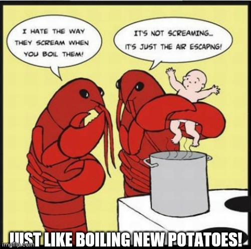 JUST LIKE BOILING NEW POTATOES! | made w/ Imgflip meme maker