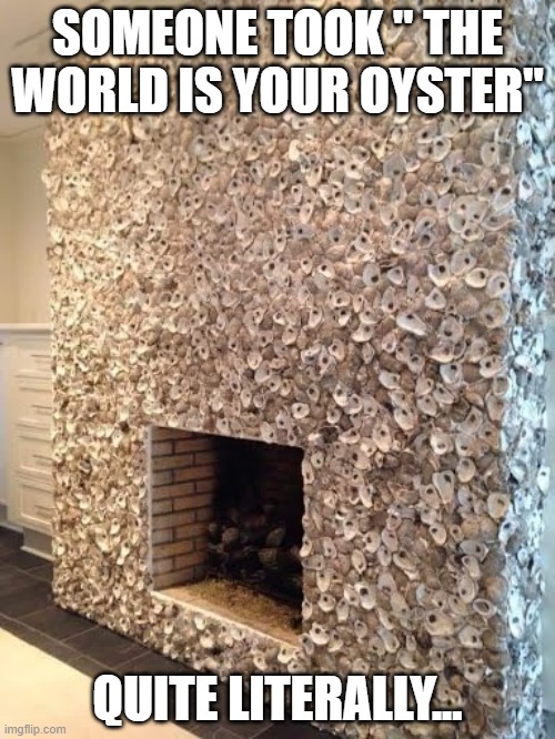 fun | SOMEONE TOOK " THE WORLD IS YOUR OYSTER"; QUITE LITERALLY... | image tagged in funny memes | made w/ Imgflip meme maker