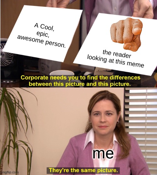 They're The Same Picture Meme | A Cool, epic, awesome person. the reader looking at this meme; me | image tagged in memes,they're the same picture | made w/ Imgflip meme maker