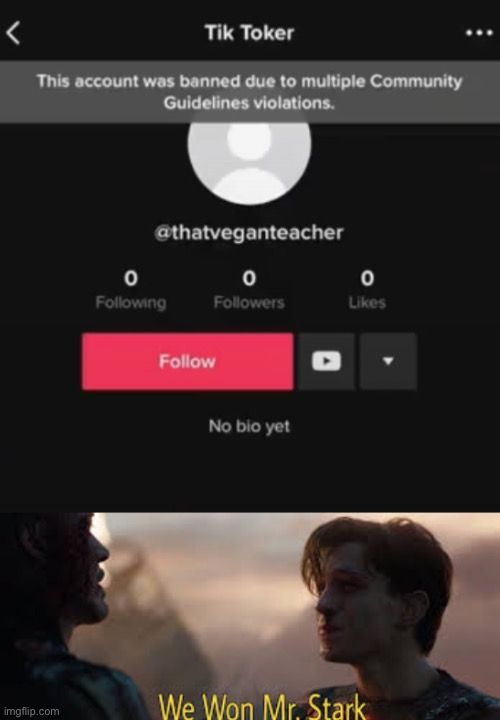 Every single one of her back up accounts are gone | image tagged in we won mr stark | made w/ Imgflip meme maker