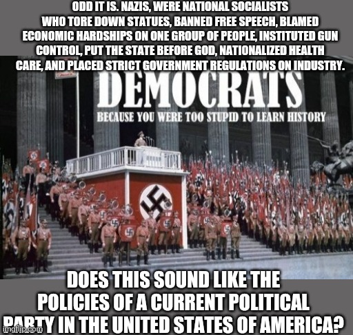 DEMOCRATS: Because You Were Too Stupid To Learn From History | ODD IT IS. NAZIS, WERE NATIONAL SOCIALISTS WHO TORE DOWN STATUES, BANNED FREE SPEECH, BLAMED ECONOMIC HARDSHIPS ON ONE GROUP OF PEOPLE, INSTITUTED GUN CONTROL, PUT THE STATE BEFORE GOD, NATIONALIZED HEALTH CARE, AND PLACED STRICT GOVERNMENT REGULATIONS ON INDUSTRY. DOES THIS SOUND LIKE THE POLICIES OF A CURRENT POLITICAL PARTY IN THE UNITED STATES OF AMERICA? | image tagged in democratic socialism,gun control,starvation,hyper,inflation | made w/ Imgflip meme maker