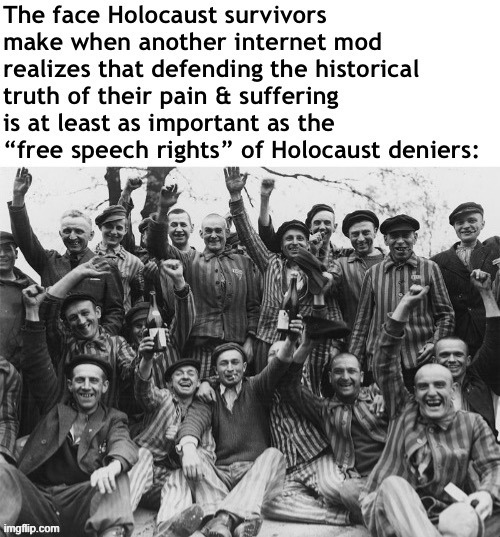 One way to fight Nazism online? Wherever you have mod powers, and you see Holocaust denial occurring, delete it. | image tagged in holocaust denial internet mods | made w/ Imgflip meme maker