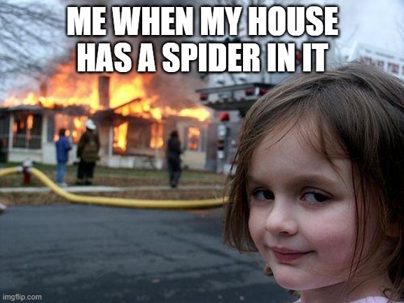 Disaster Girl Meme | ME WHEN MY HOUSE HAS A SPIDER IN IT | image tagged in memes,disaster girl | made w/ Imgflip meme maker