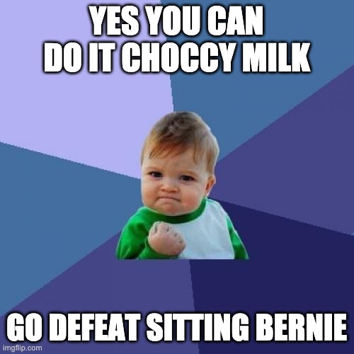 Success Kid Meme | YES YOU CAN DO IT CHOCCY MILK GO DEFEAT SITTING BERNIE | image tagged in memes,success kid | made w/ Imgflip meme maker