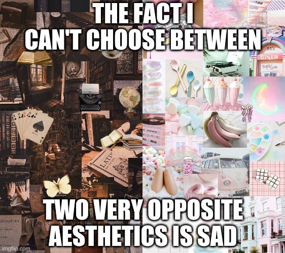 THE FACT I CAN'T CHOOSE BETWEEN; TWO VERY OPPOSITE AESTHETICS IS SAD | image tagged in pastel,dark academia,aesthetic | made w/ Imgflip meme maker
