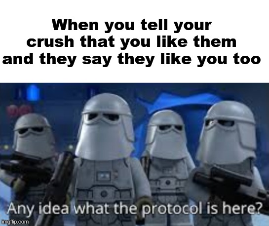 Any idea what to do here | When you tell your crush that you like them and they say they like you too | image tagged in blank white template,any idea what the protocol is here | made w/ Imgflip meme maker