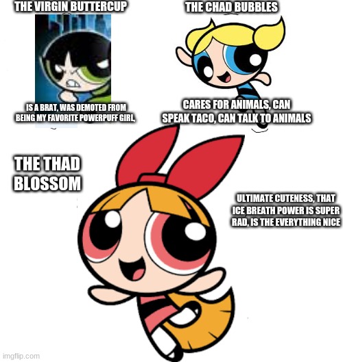 powerpuff girls ranked | THE VIRGIN BUTTERCUP; THE CHAD BUBBLES; CARES FOR ANIMALS, CAN SPEAK TACO, CAN TALK TO ANIMALS; IS A BRAT, WAS DEMOTED FROM BEING MY FAVORITE POWERPUFF GIRL, THE THAD BLOSSOM; ULTIMATE CUTENESS, THAT ICE BREATH POWER IS SUPER RAD, IS THE EVERYTHING NICE | image tagged in virgin vs chad,powerpuff girls | made w/ Imgflip meme maker
