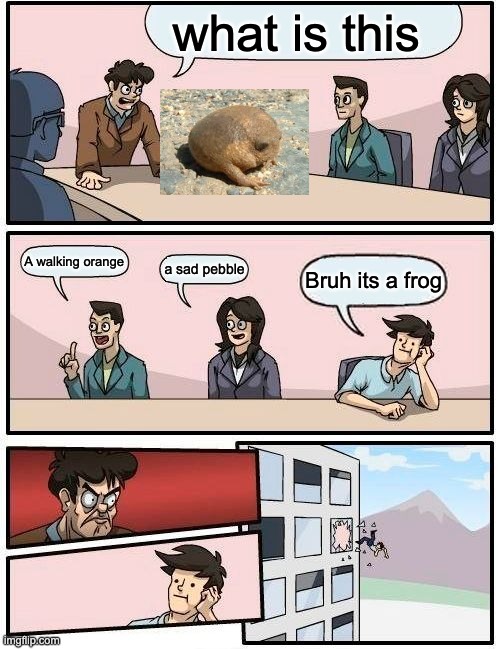Why did I make this it makes no sence | what is this; A walking orange; a sad pebble; Bruh its a frog | image tagged in memes,boardroom meeting suggestion | made w/ Imgflip meme maker