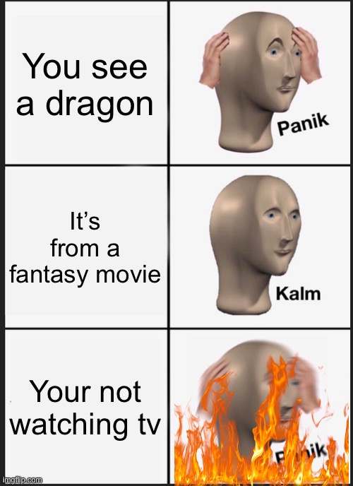 Panik Kalm Panik Meme | You see a dragon; It’s from a fantasy movie; Your not watching tv | image tagged in memes,panik kalm panik | made w/ Imgflip meme maker