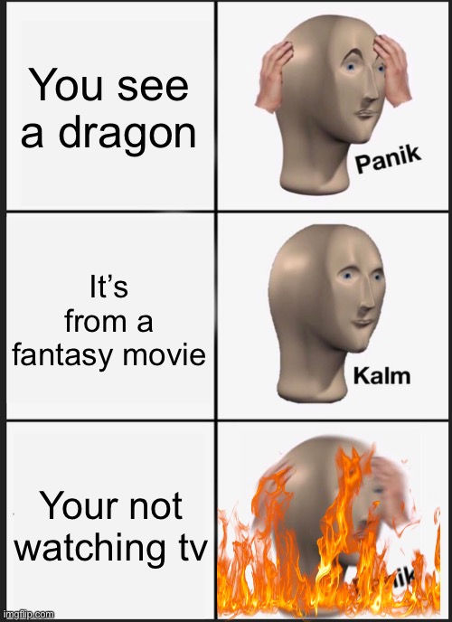 Panik Kalm Panik Meme | You see a dragon; It’s from a fantasy movie; Your not watching tv | image tagged in memes,panik kalm panik | made w/ Imgflip meme maker