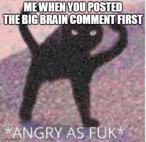 *ANGRY AS FUK* | ME WHEN YOU POSTED THE BIG BRAIN COMMENT FIRST | image tagged in angry as fuk | made w/ Imgflip meme maker