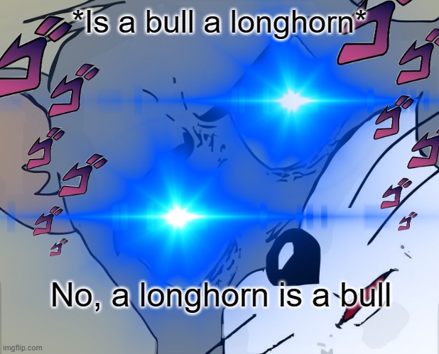 Is a bull a longhorn | *Is a bull a longhorn*; No, a longhorn is a bull | image tagged in funny,what if i told you | made w/ Imgflip meme maker
