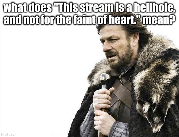 idk. | what does "This stream is a hellhole, and not for the faint of heart." mean? | image tagged in memes,brace yourselves x is coming | made w/ Imgflip meme maker